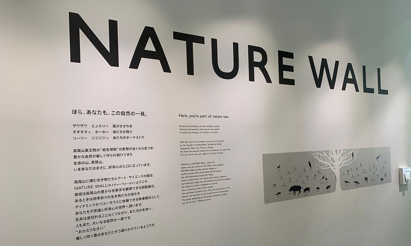 NATURE WALLと名付けられた壁には一匹ずつ丁寧に動物達が配置されていて今にも動き出しそうな迫力を見せます
