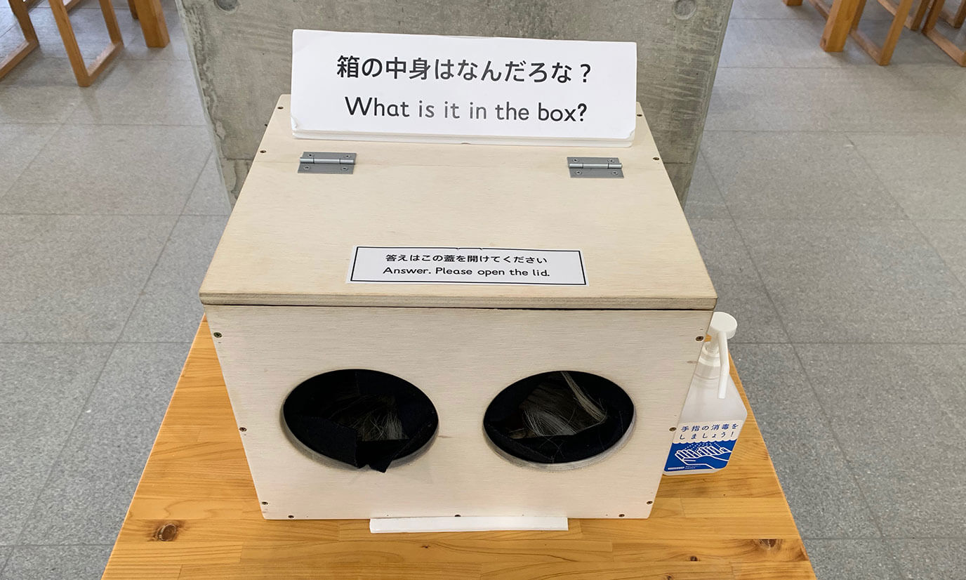 ファミリーにオススメしたい仕掛けがこちら、手触りだけで中に入っているものを当てるクイズです。中身は神社にもいたあの生き物です