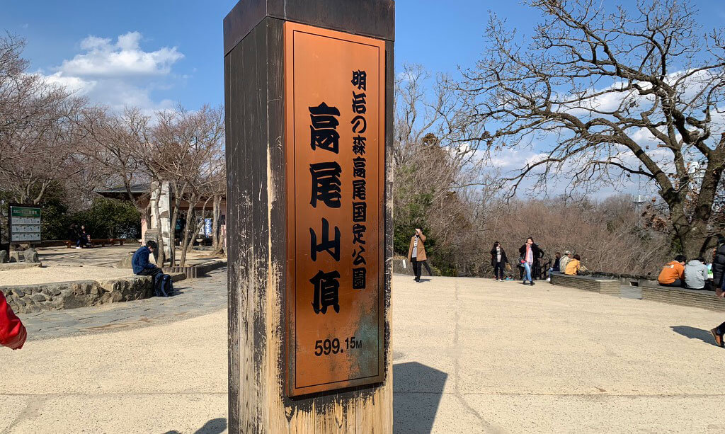 少し休憩していると日本三鳴鳥の鶯(ウグイス)が「ホーホケキョ」とお出迎いもしてくれました