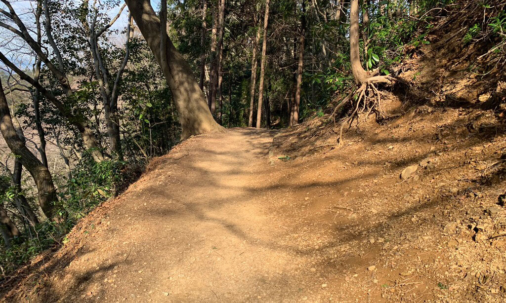 四号路は一本橋があるコースです。見所のあるコースですが道は整備されていないので高齢者や子供がいる場合は厳しいと思います