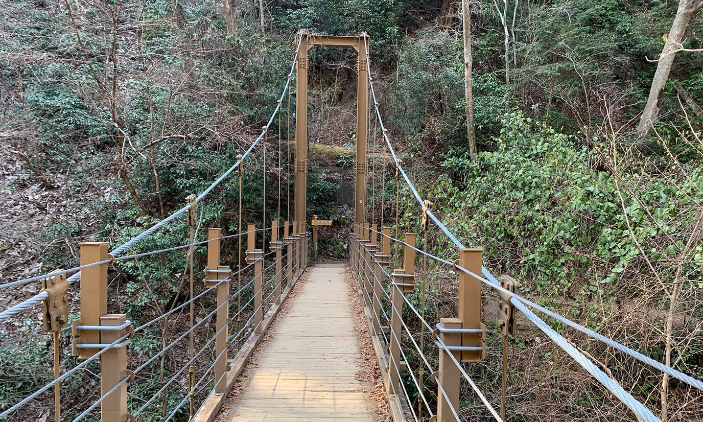 四号路の最大の魅力みやま橋(一本橋)です!橋からのぞいてみるといい写真が取れますよ!!